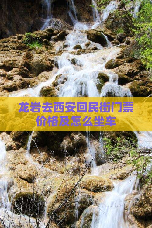 龙岩去西安回民街门票价格及怎么坐车