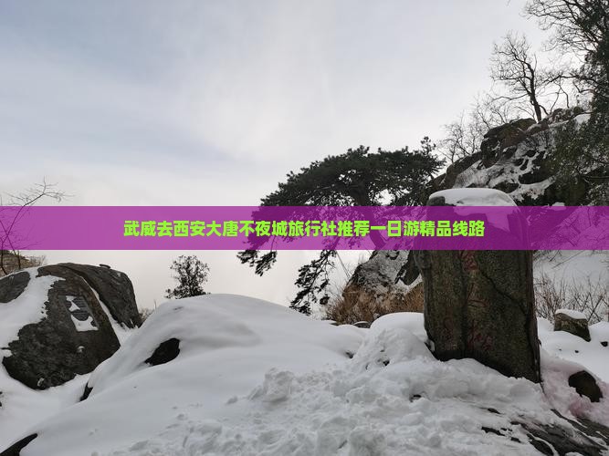 武威去西安大唐不夜城旅行社推荐一日游精品线路