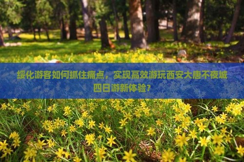 绥化游客如何抓住痛点，实现高效游玩西安大唐不夜城四日游新体验？