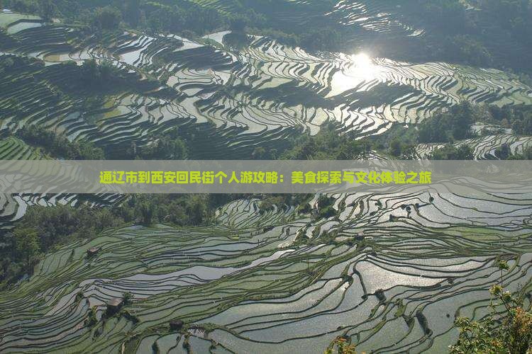 通辽市到西安回民街个人游攻略：美食探索与文化体验之旅