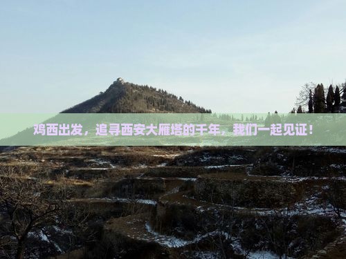 鸡西出发，追寻西安大雁塔的千年，我们一起见证！