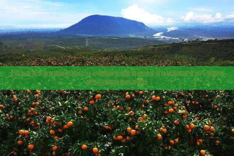 大同去西安华清宫团体旅游