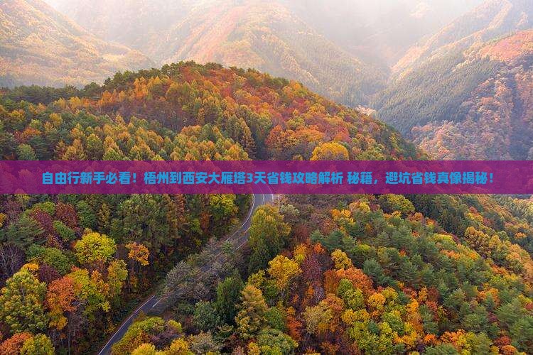 梧州到西安大雁塔自由行