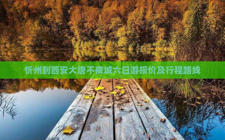 忻州到西安大唐不夜城六日游