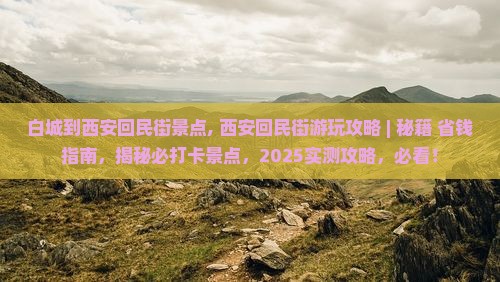 白城到西安回民街景点