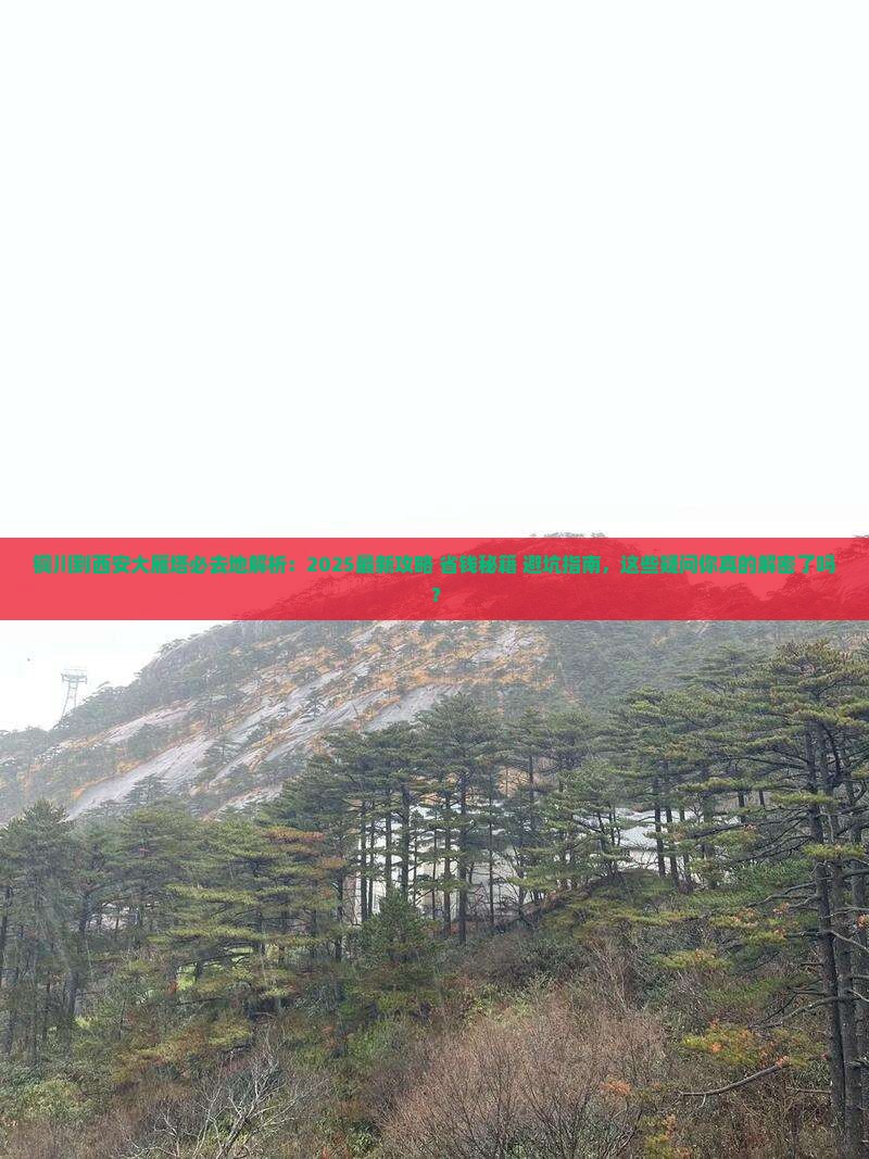 铜川到西安大雁塔必去地