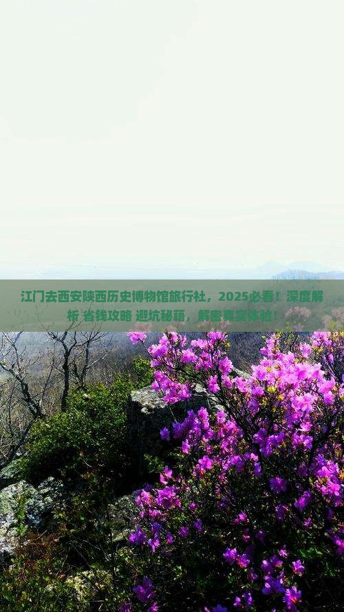 江门去西安陕西历史博物馆旅行社