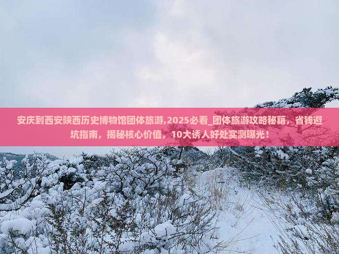 安庆到西安陕西历史博物馆团体旅游
