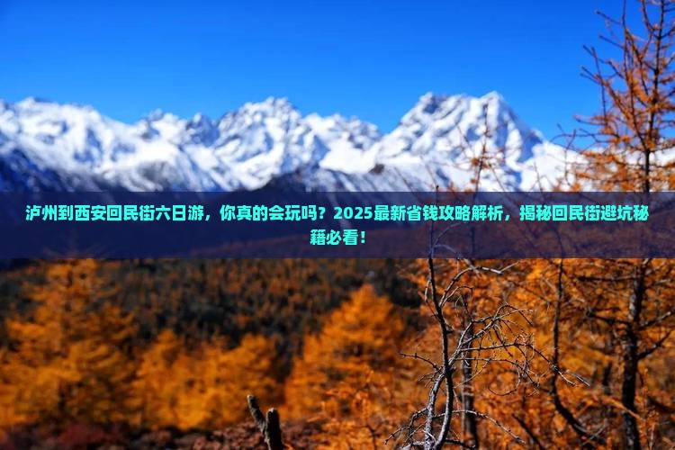 泸州到西安回民街六日游