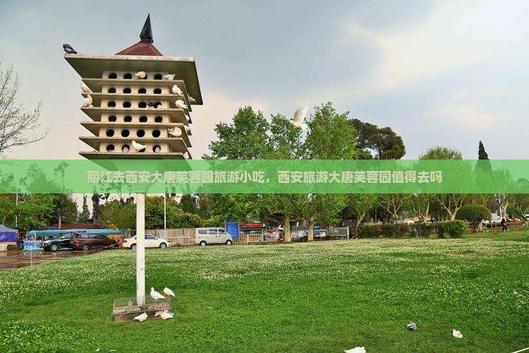 丽江去西安大唐芙蓉园旅游小吃