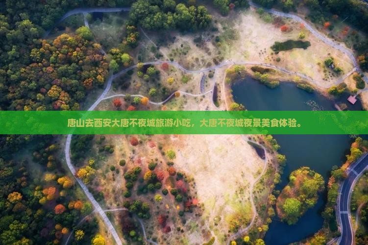 唐山去西安大唐不夜城旅游小吃