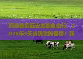 阿勒泰到西安城墙自由行