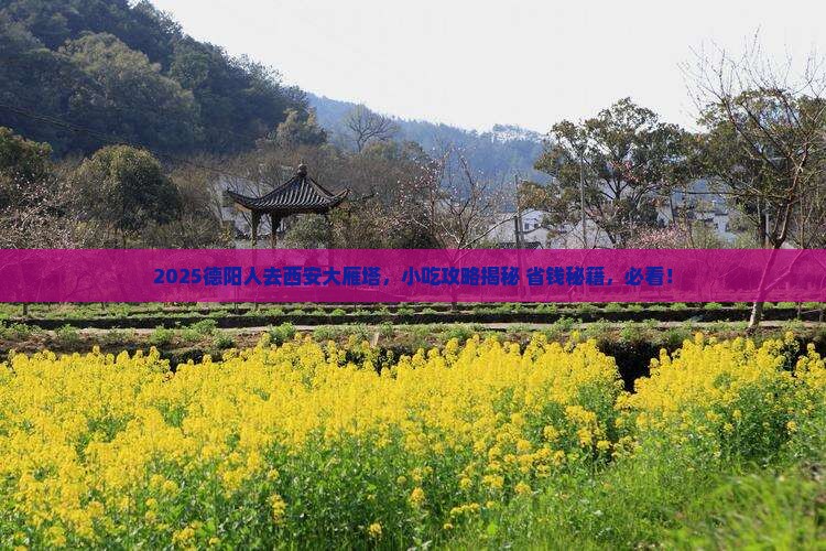 德阳去西安大雁塔旅游小吃