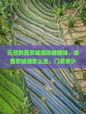 元旦到西安城墙攻略