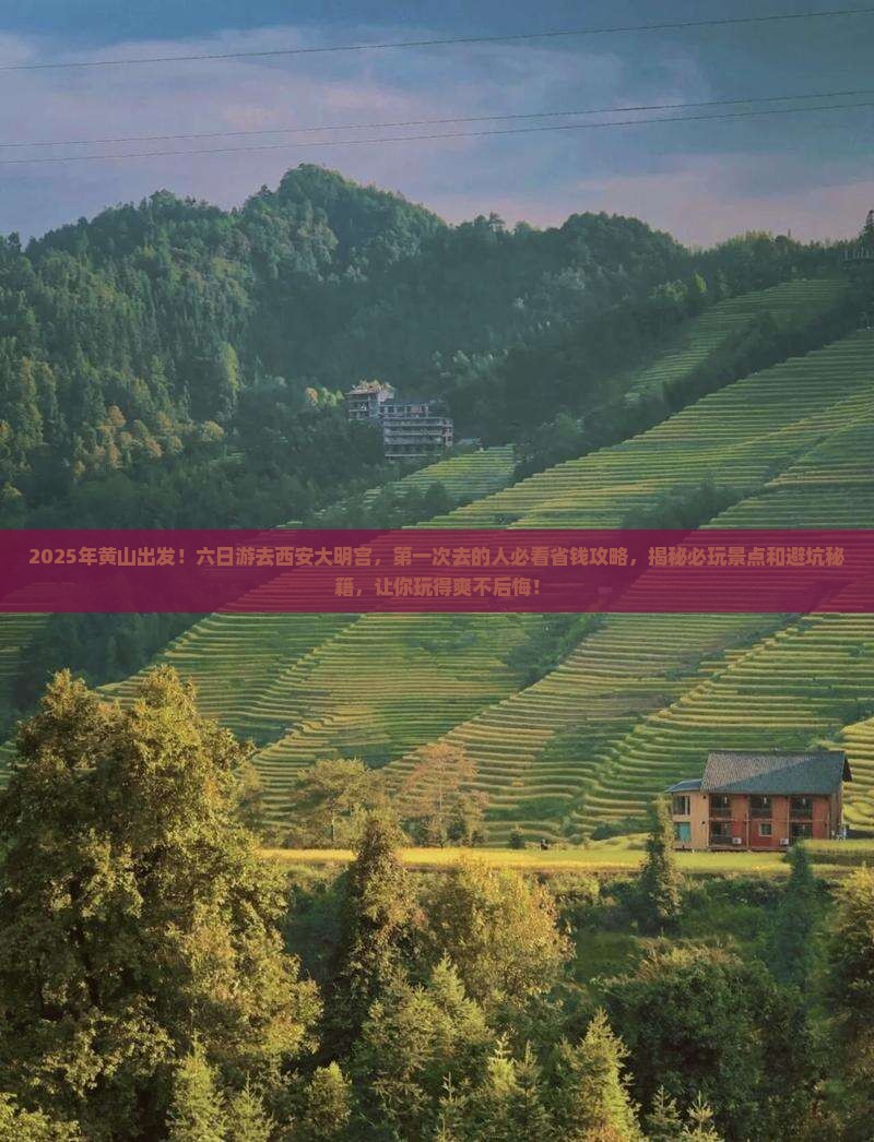 黄山到西安大明宫国家遗址公园六日游