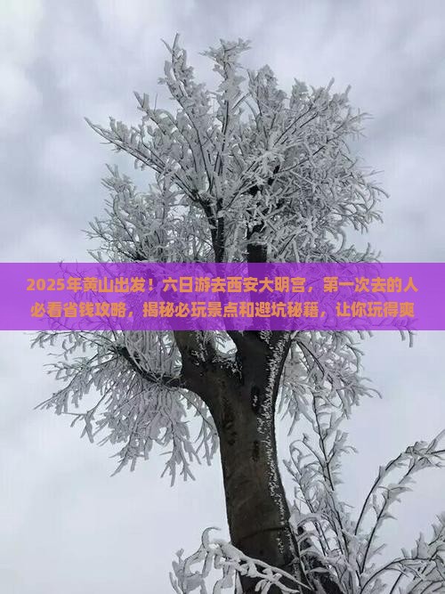 黄山到西安大明宫国家遗址公园六日游
