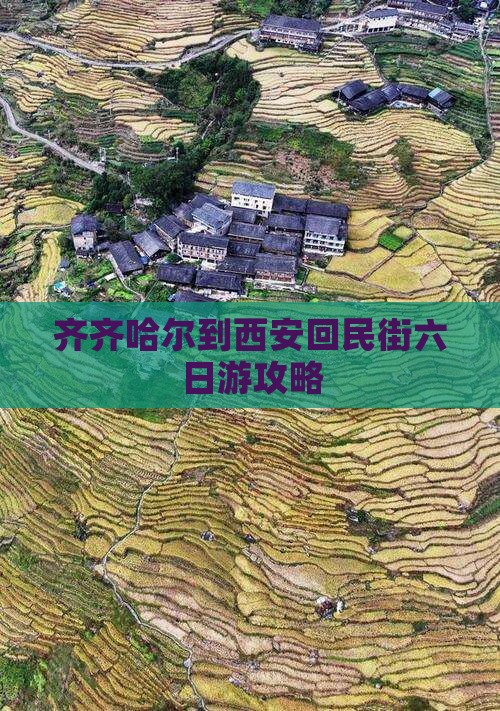 齐齐哈尔到西安回民街六日游