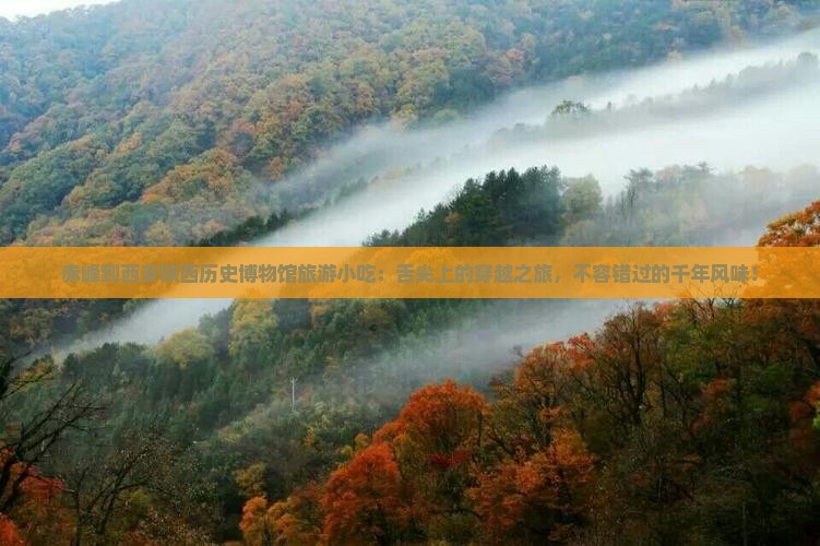 赤峰到西安陕西历史博物馆旅游小吃