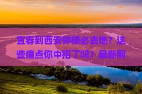 宜春到西安钟楼必去地