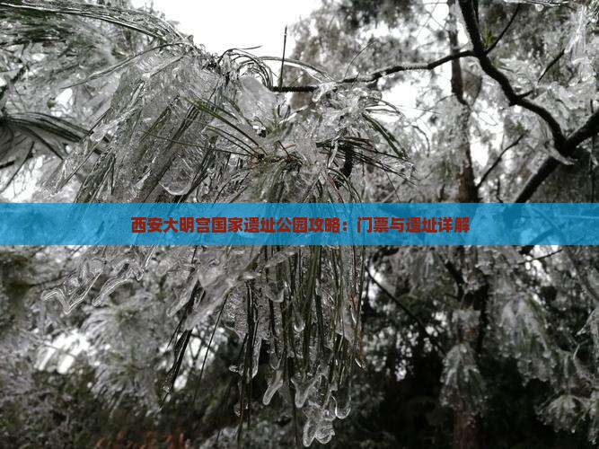 天门到西安大明宫国家遗址公园门票