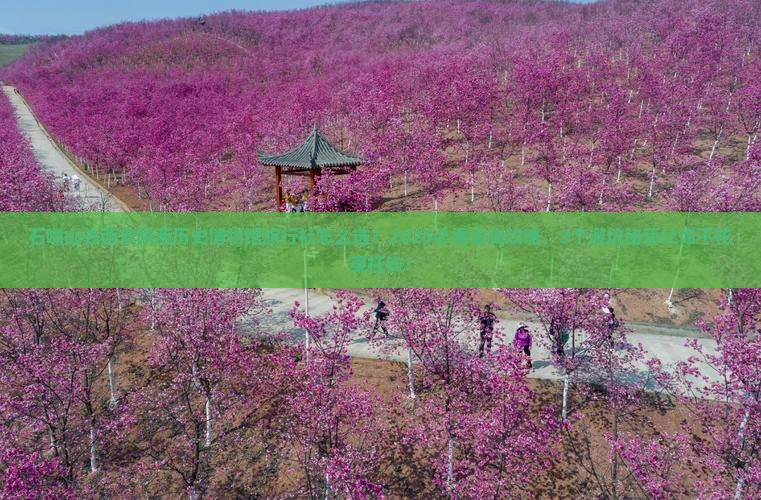 石嘴山去西安陕西历史博物馆旅行社
