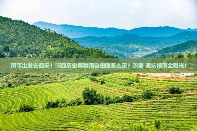南平到西安陕西历史博物馆自由团