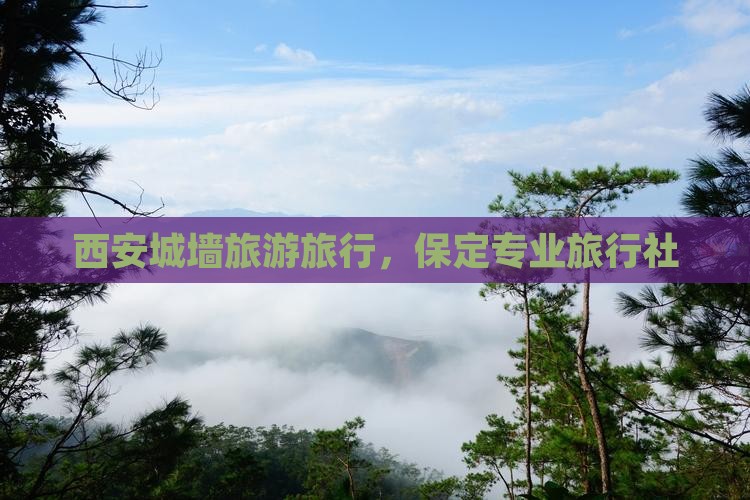 保定去西安城墙旅行社