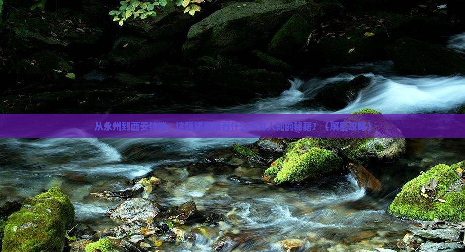 永州到西安钟楼景点