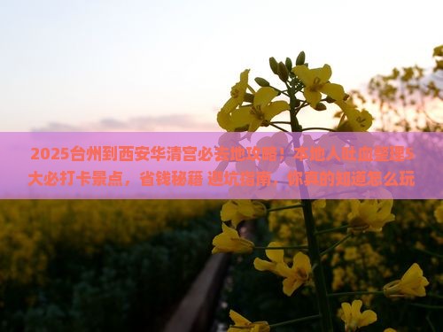 台州到西安华清宫必去地