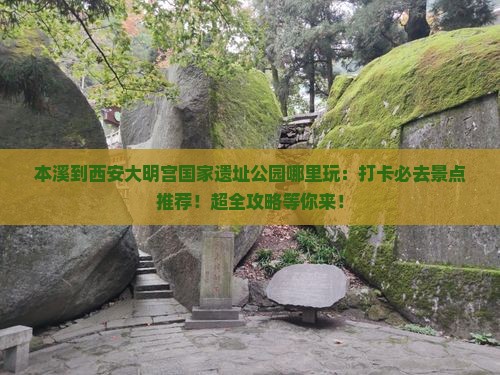 本溪到西安大明宫国家遗址公园哪里玩