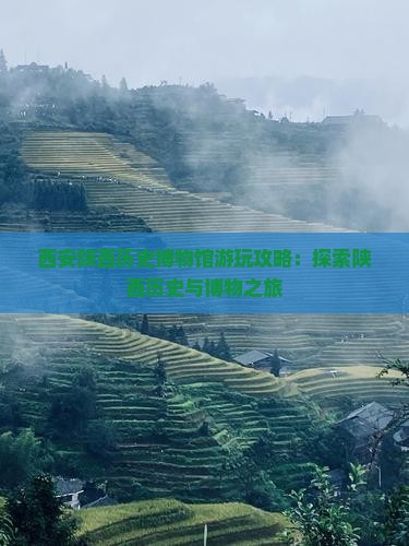 七台河到西安陕西历史博物馆哪里玩