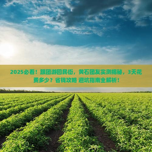 黄石去西安回民街大型旅游团