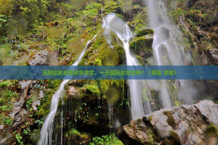 玉树到西安华清宫一日游