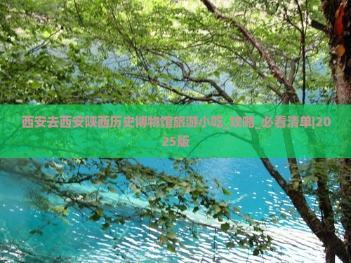 西安去西安陕西历史博物馆旅游小吃