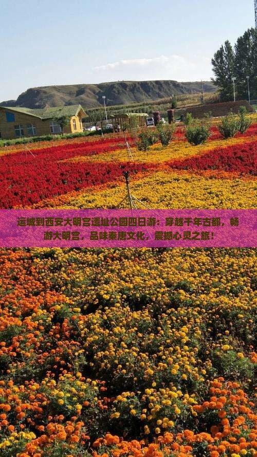 运城到西安大明宫国家遗址公园四日游
