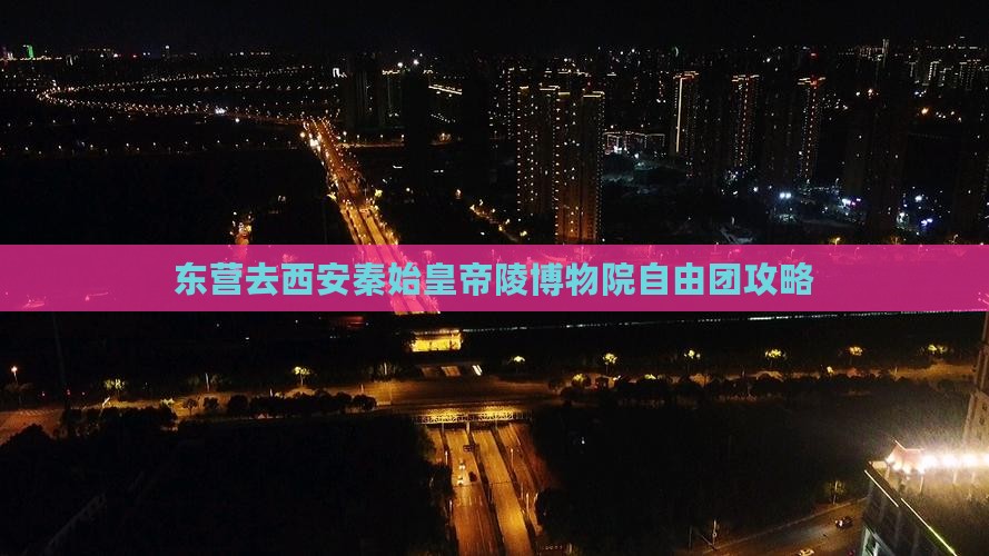 东营去西安秦始皇帝陵博物院自由团