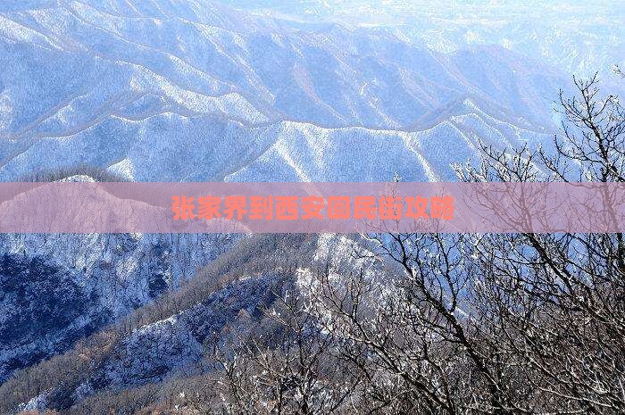 张家界到西安回民街攻略