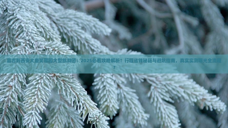 昌吉到西安大唐芙蓉园大型旅游团