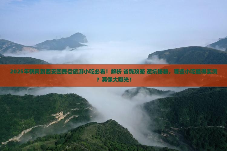 鹤岗到西安回民街旅游小吃