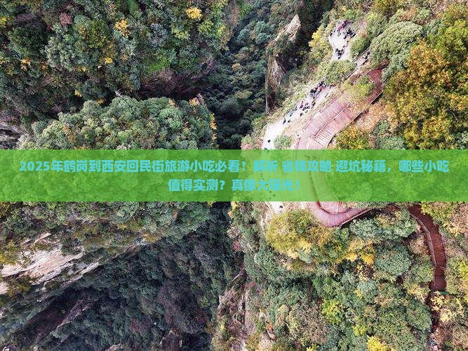 鹤岗到西安回民街旅游小吃