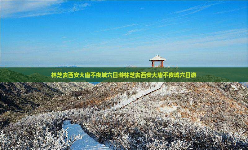 林芝去西安大唐不夜城六日游
