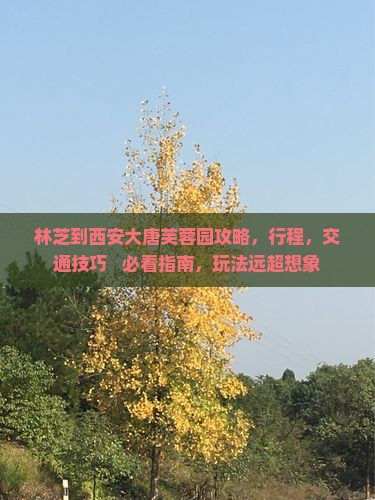 林芝到西安大唐芙蓉园攻略