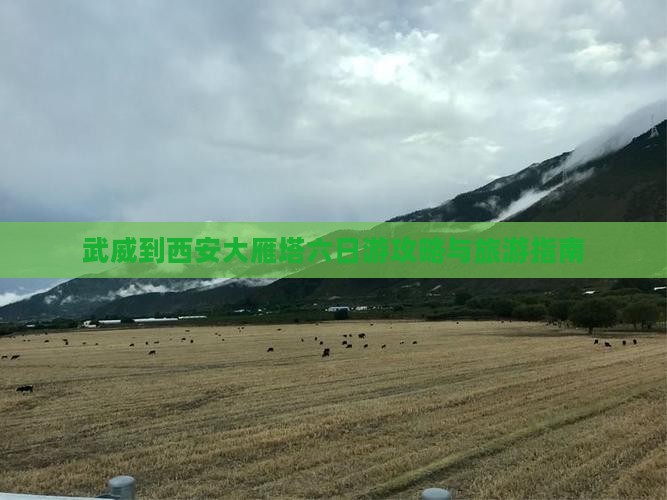 武威去西安大雁塔六日游