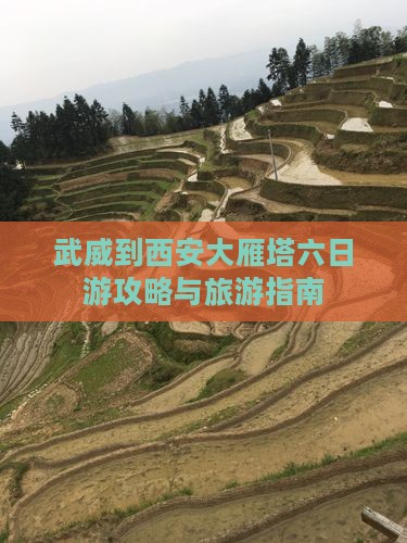 武威去西安大雁塔六日游
