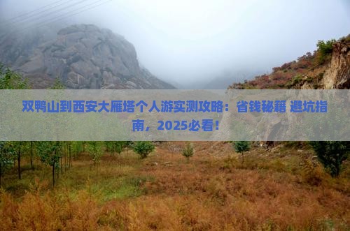 双鸭山到西安大雁塔个人游