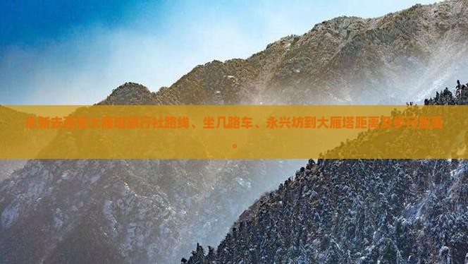 永新去西安大雁塔旅行社