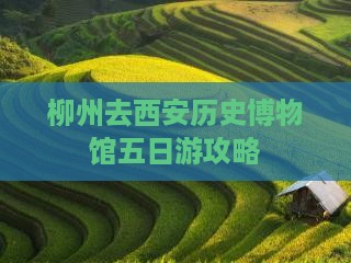 柳州去西安陕西历史博物馆五日游