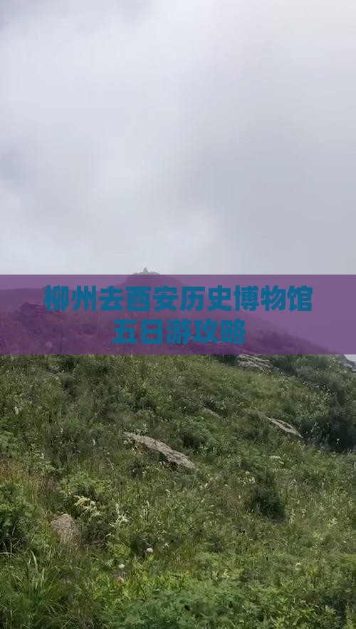 柳州去西安陕西历史博物馆五日游