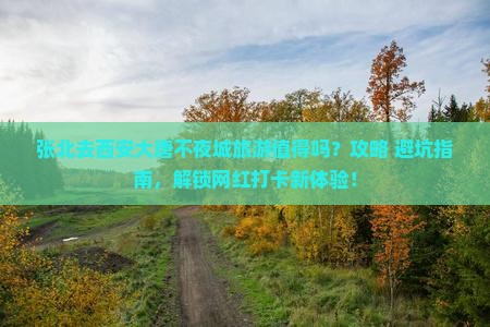 张北去西安大唐不夜城旅游