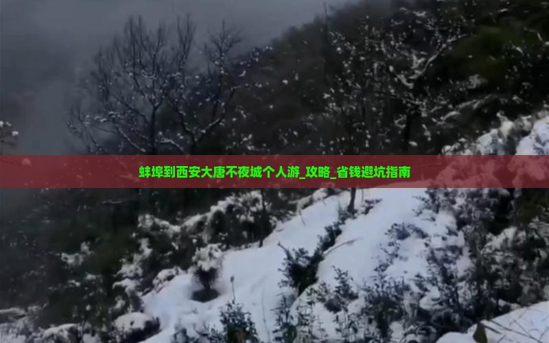 蚌埠到西安大唐不夜城个人游
